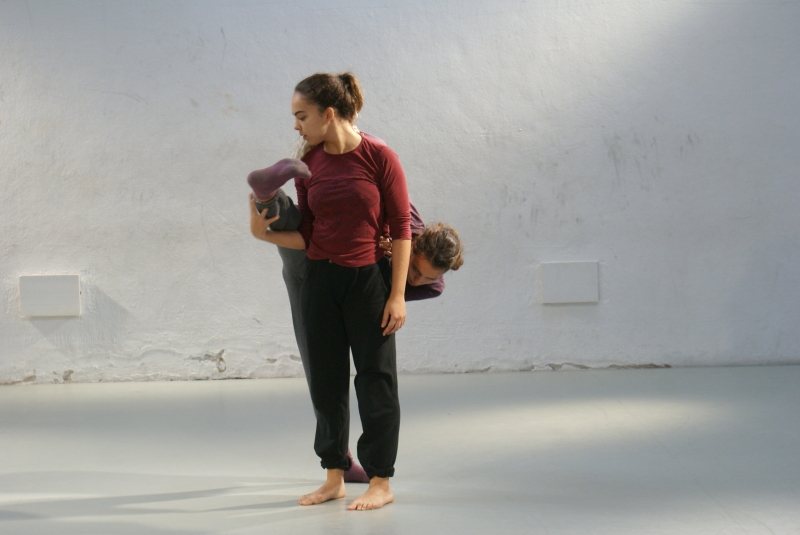 01_Ciclo 1 (2016-2017)_18